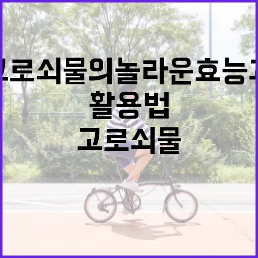 고로쇠물의 놀라운 효능과 활용법 - 요약