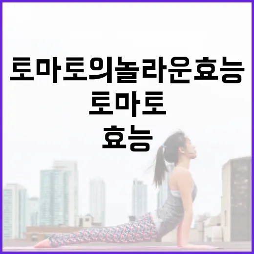 토마토의 놀라운 효능을 최대한 활용하는 방법 - 요약