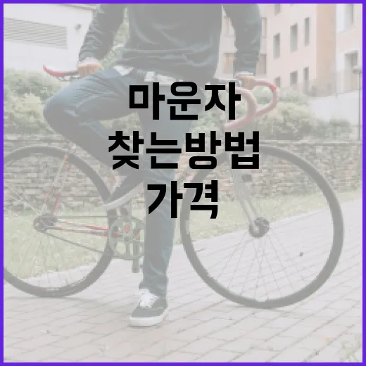 합리적인 마운자 가격을 찾는 방법 - 요약