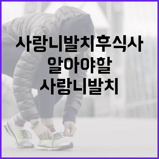 사랑니 발치 후 식사할 때 알아야 할 점 - 요약