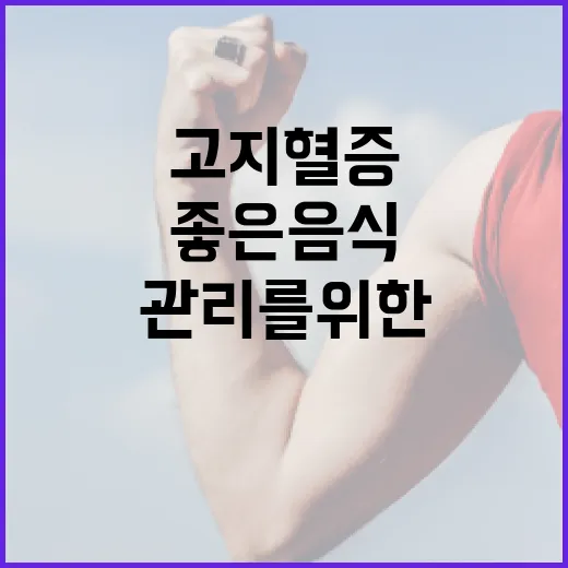 고지혈증 관리를 위한 좋은 음식 선택 방법 - 요약
