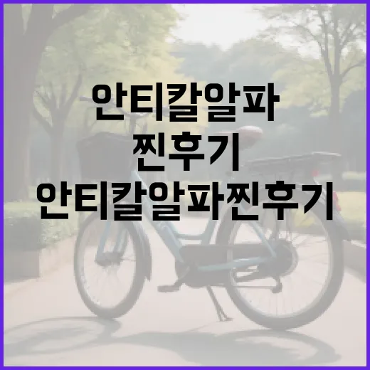 안티칼알파 찐후기: 건강한 관절을 위한 방법 - 요약
