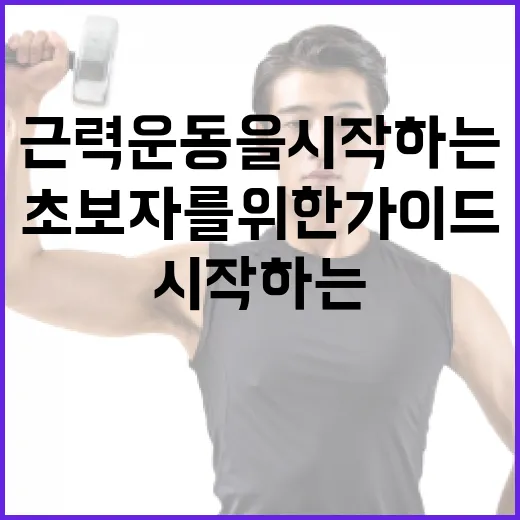 근력운동을 시작하는 방법: 초보자를 위한 가이드 - 요약
