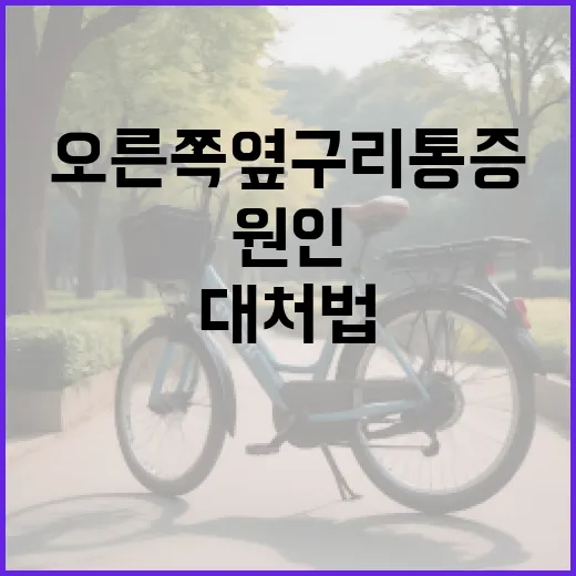 오른쪽 옆구리 통증 해결 방법: 원인과 대처법 - 요약