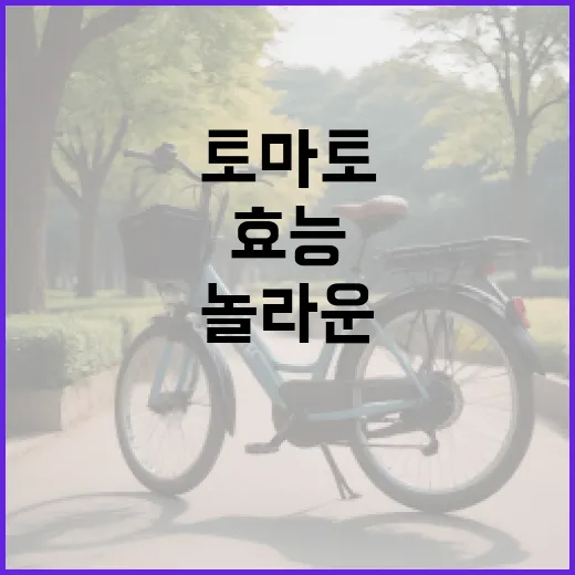 토마토의 놀라운 효능을 알아보는 방법 - 요약