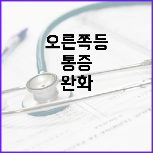 오른쪽 등 통증을 완화하는 방법 - 요약