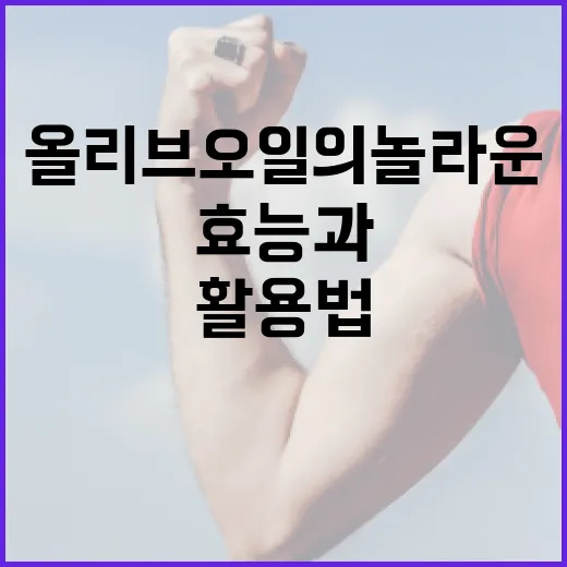 올리브오일의 놀라운 효능과 활용법 - 요약