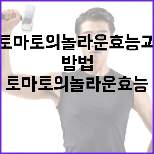 토마토의 놀라운 효능과 활용 방법 - 요약