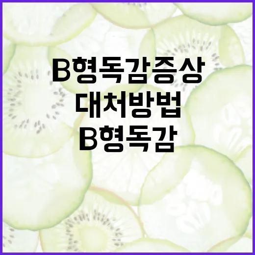 B형 독감 증상과 대처 방법 알아보기 - 요약