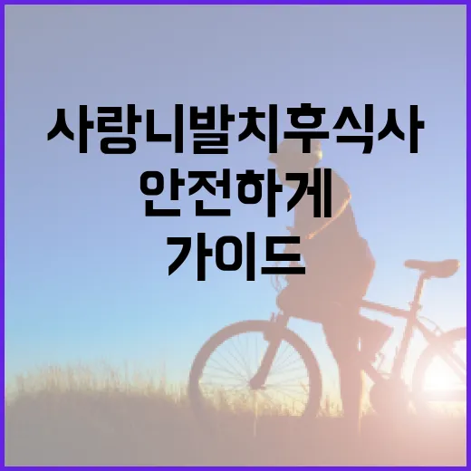 사랑니 발치 후 식사 가이드: 안전하게 먹는 방법 - 요약