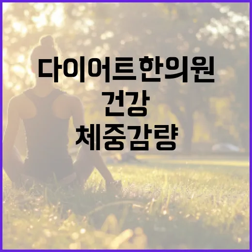 다이어트한의원을 통해 건강하게 체중 감량하는 방법 - 요약