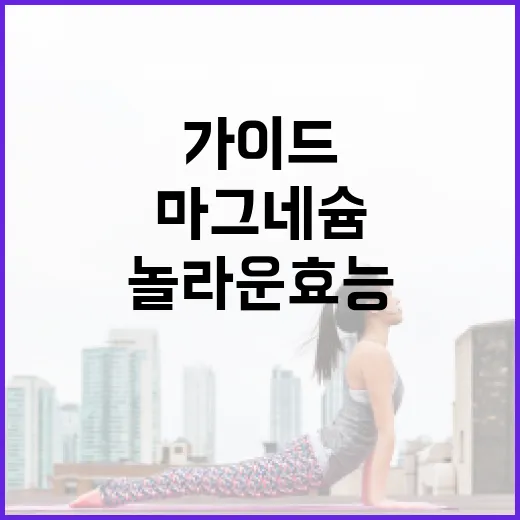 마그네슘의 놀라운 효능과 섭취 방법: 건강을 위한 가이드 - 요약