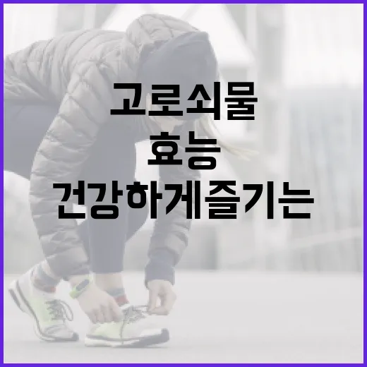 고로쇠물의 효능과 건강하게 즐기는 방법 - 요약