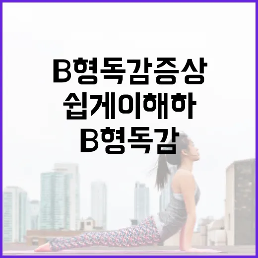 B형독감 증상을 쉽게 이해하는 방법 - 요약