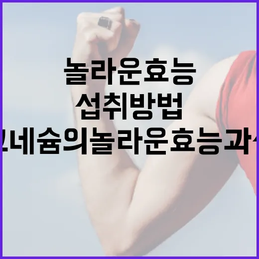 마그네슘의 놀라운 효능과 섭취 방법 - 요약