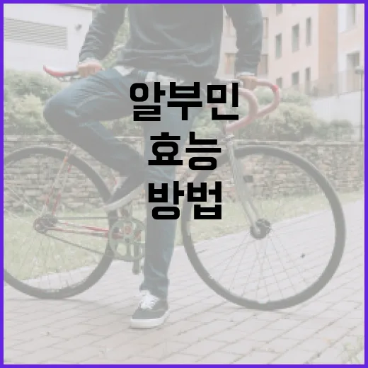 알부민의 효능을 최대한 활용하는 방법 - 요약