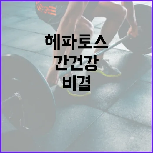 헤파토스를 이해하는 방법: 간 건강을 지키는 비결 - 요약