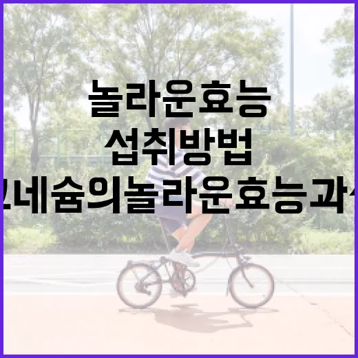 마그네슘의 놀라운 효능과 섭취 방법 - 요약