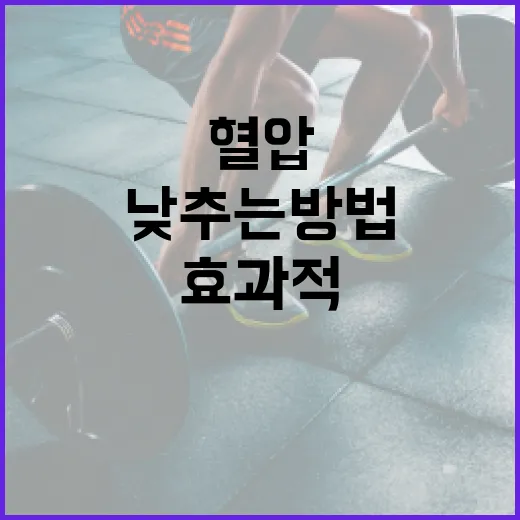 혈압을 효과적으로 낮추는 방법 - 요약