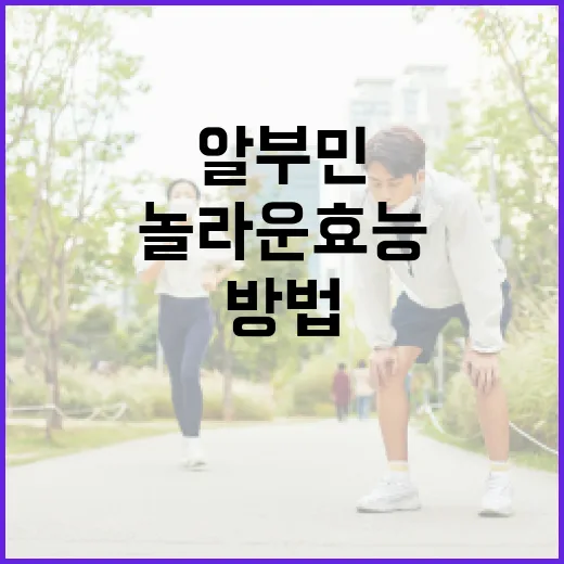 알부민의 놀라운 효능과 활용 방법 - 요약