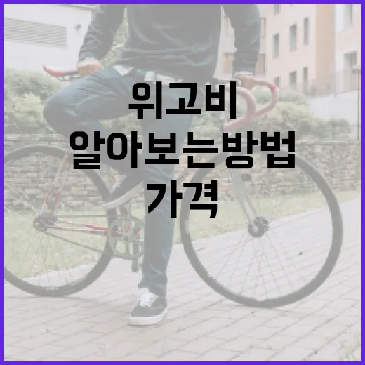 위고비 가격을 합리적으로 알아보는 방법 - 요약