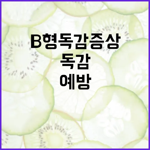 B형 독감 증상을 이해하고 예방하는 방법 - 요약
