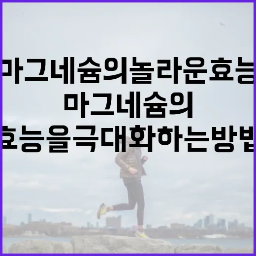 마그네슘의 놀라운 효능을 극대화하는 방법 - 요약