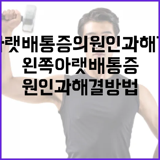 왼쪽 아랫배 통증의 원인과 해결 방법 - 요약