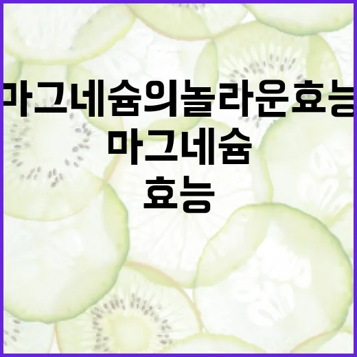 마그네슘의 놀라운 효능을 알아보는 방법 - 요약