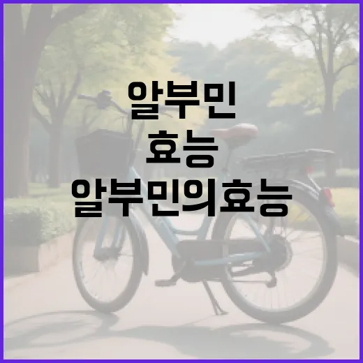 알부민의 효능 이해하기 - 요약
