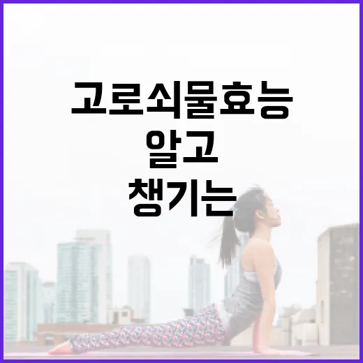 고로쇠물 효능을 알고 건강을 챙기는 방법 - 요약