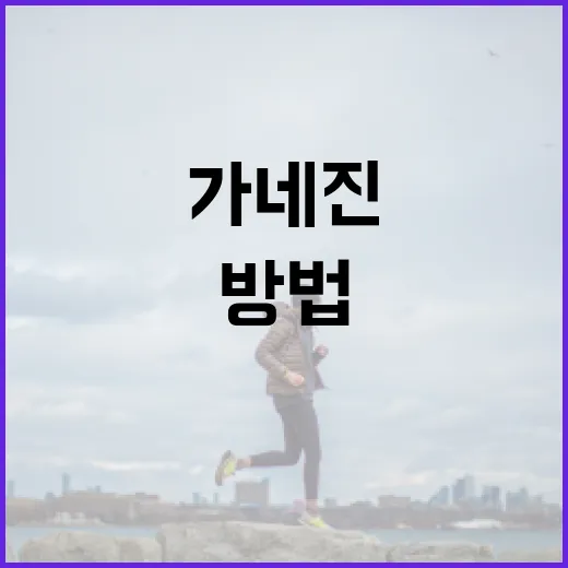 가네진을 효과적으로 사용하는 방법 - 요약