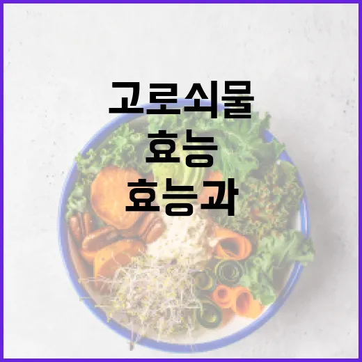 고로쇠물의 효능과 활용 방법 - 요약