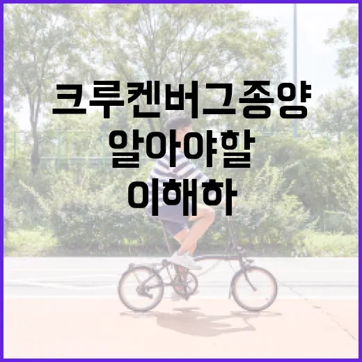 크루켄버그 종양에 대해 알아야 할 모든 것: 이해하고 대처하는 방법 - 요약