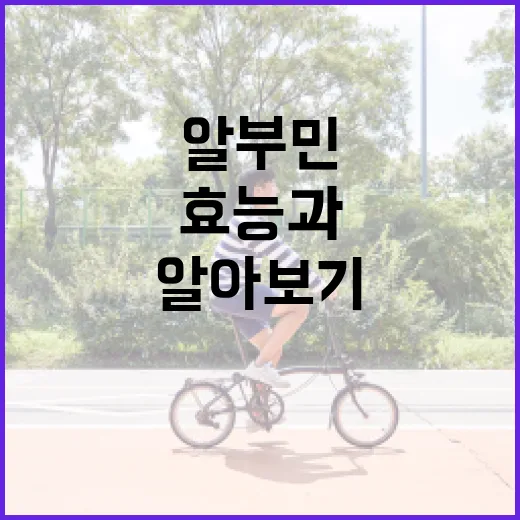 알부민 효능과 활용법 알아보기 - 요약