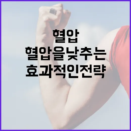 혈압을 낮추는 방법: 자연스럽고 효과적인 전략 - 요약