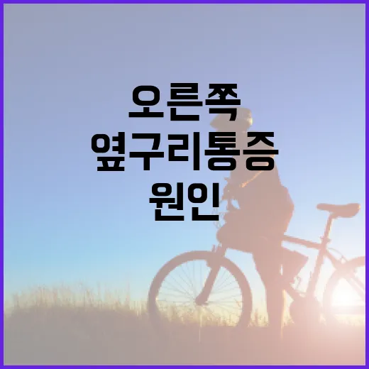 오른쪽 옆구리 통증의 원인과 완화하는 방법 - 요약