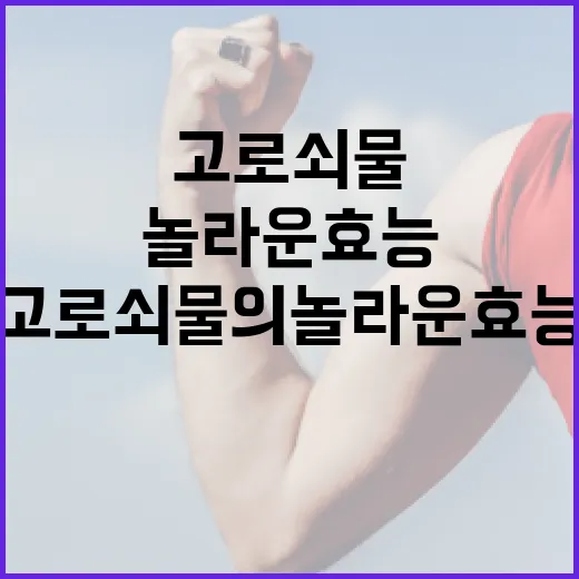 고로쇠물의 놀라운 효능을 아는 방법 - 요약