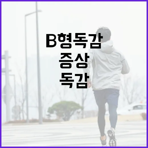 B형 독감 증상 이해하고 대비하는 방법 - 요약