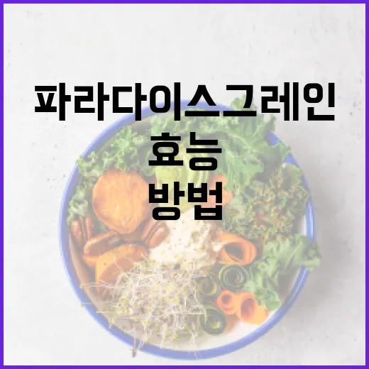 파라다이스 그레인의 효능과 활용 방법 - 요약