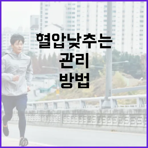 혈압 낮추는 방법: 건강하게 관리하는 법 - 요약