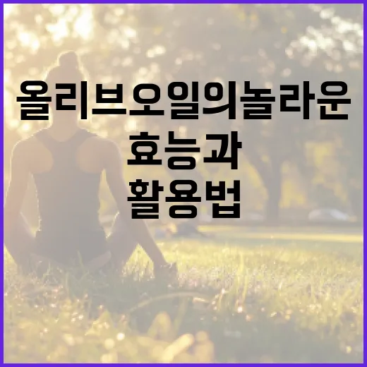 올리브오일의 놀라운 효능과 활용법 - 요약