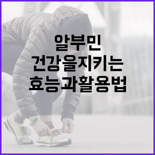 알부민의 효능과 활용법: 건강을 지키는 방법 - 요약