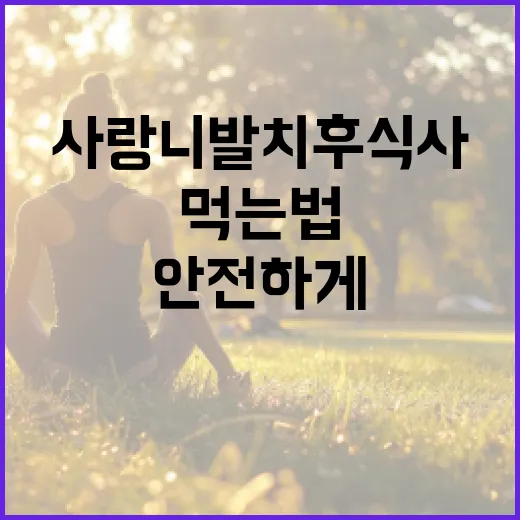 사랑니 발치 후 식사 방법: 안전하게 먹는 법 - 요약