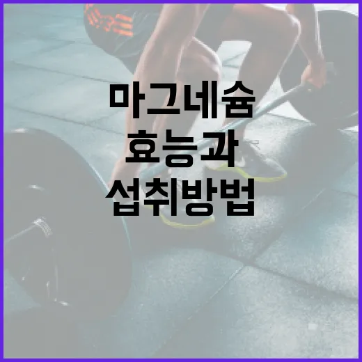 마그네슘이 건강에 미치는 놀라운 효능과 섭취 방법 - 요약