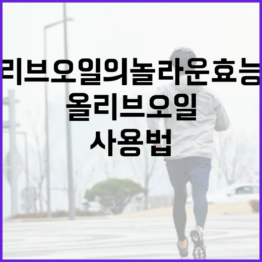 올리브오일의 놀라운 효능과 사용법 - 요약