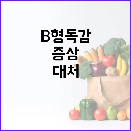 B형 독감 증상을 알아보고 대처하는 방법 - 요약