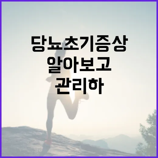 당뇨 초기증상을 알아보고 관리하는 방법 - 요약