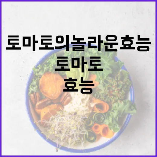 토마토의 놀라운 효능을 최대한 활용하는 방법 - 요약