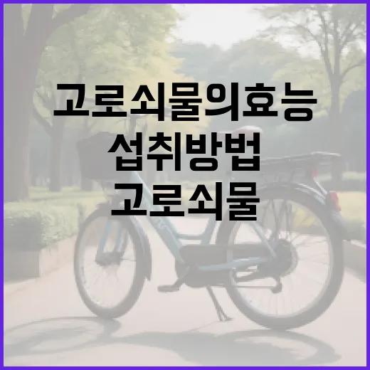 고로쇠물의 효능과 섭취 방법 - 요약